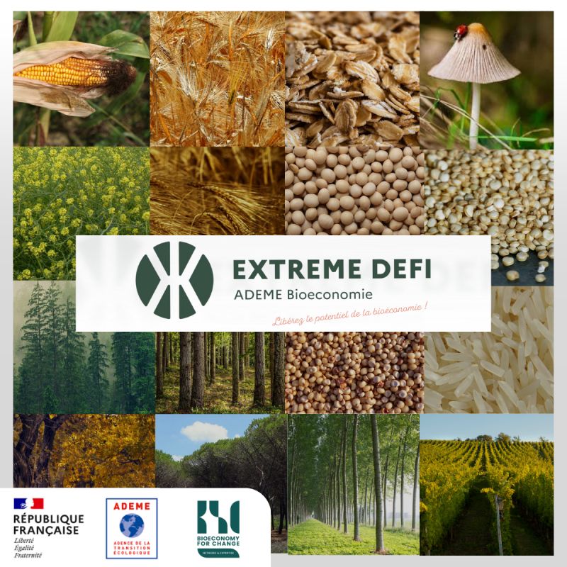 filière de la bioéconomie