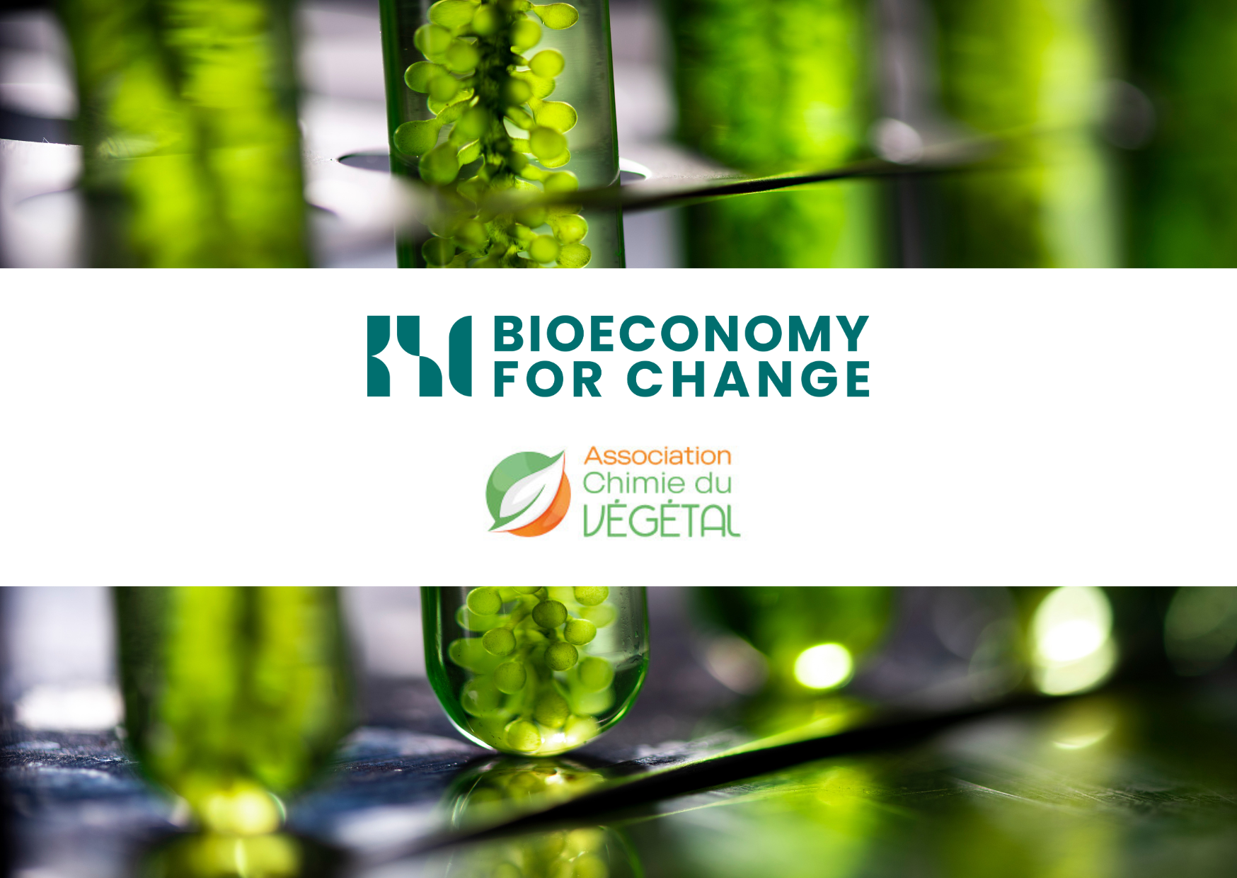 Lancement opérationnel de la communauté ACDV - Bioeconomy For Change